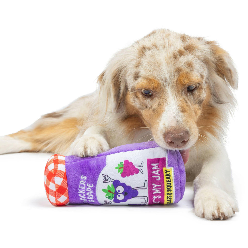 Snackers Grape Jam Dog Toy - The Dog Shop