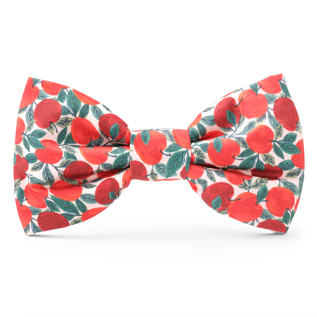 The Foggy Dog Bow Tie- Apple of My Eye - The Dog Shop