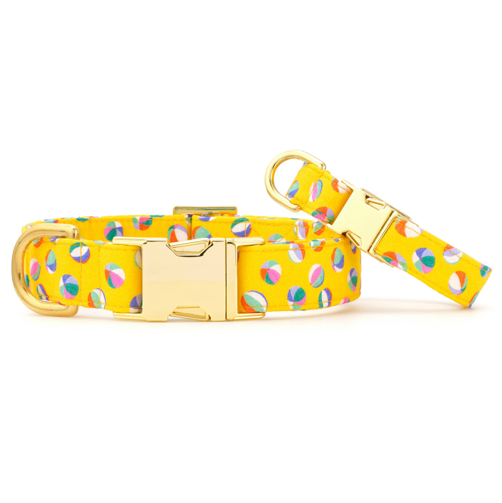 The Foggy Dog Collar - Splash! - The Dog Shop