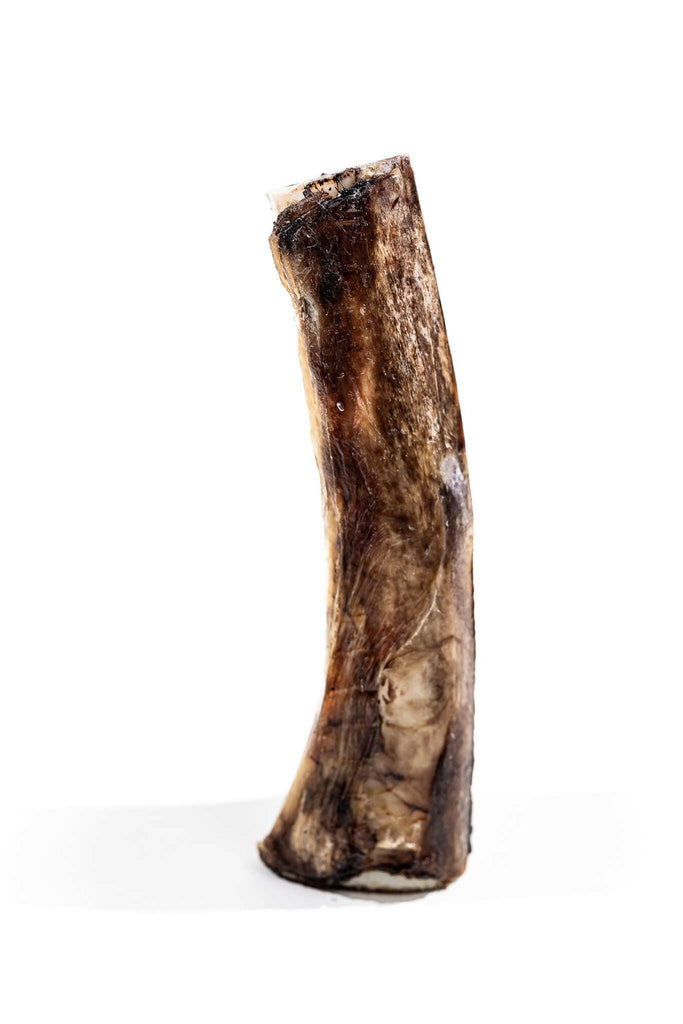 Winnie Lou Bison Marrow Bone - 6-8" - The Dog Shop