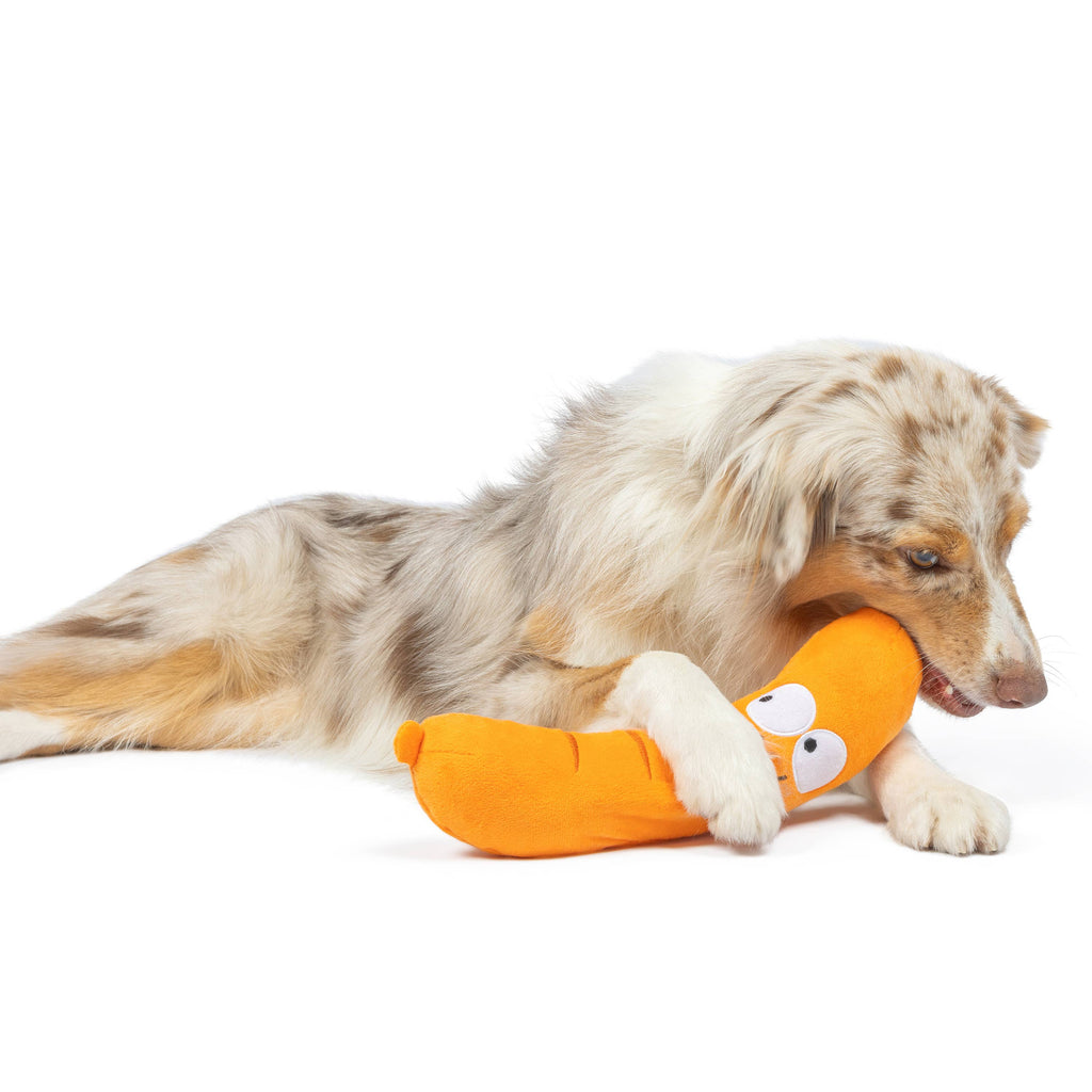 Sammy Sausage Dog Toy - The Dog Shop