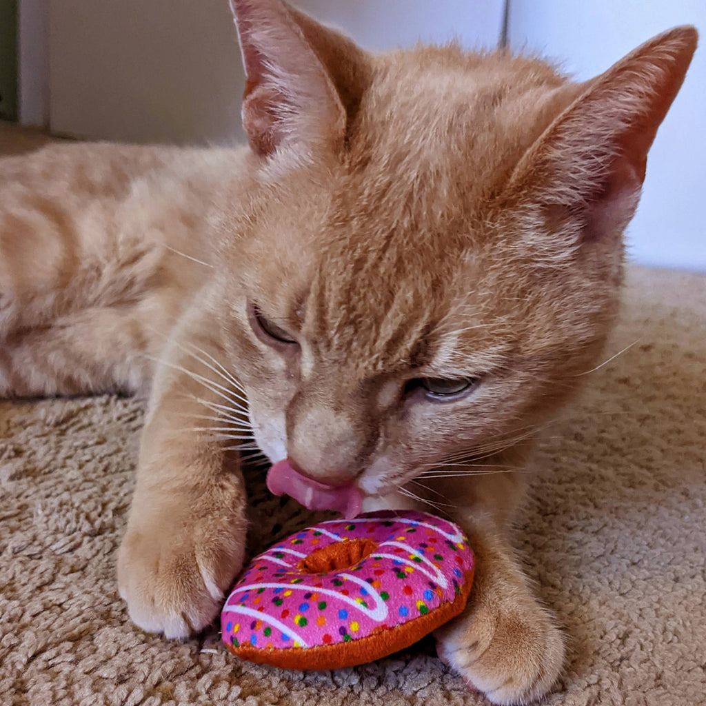 Strawberry Donut for Cats - The Dog Shop