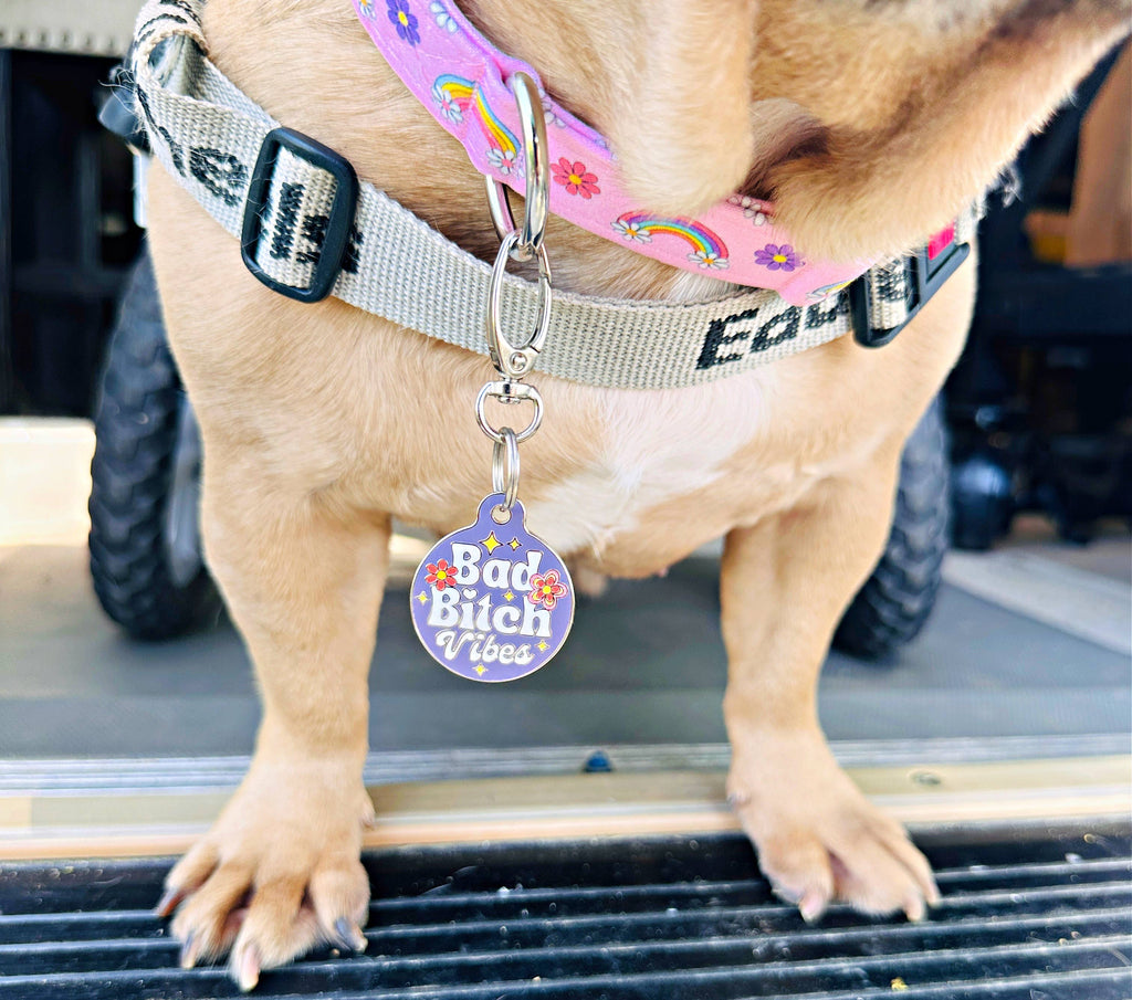 Pet ID Tag - Bad Bitch Vibes - The Dog Shop