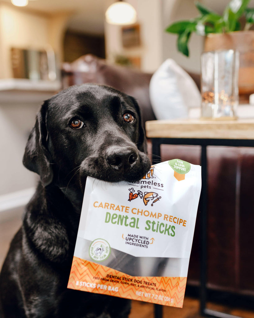 Carrate Chomp Dental Sticks Dog Treats - The Dog Shop