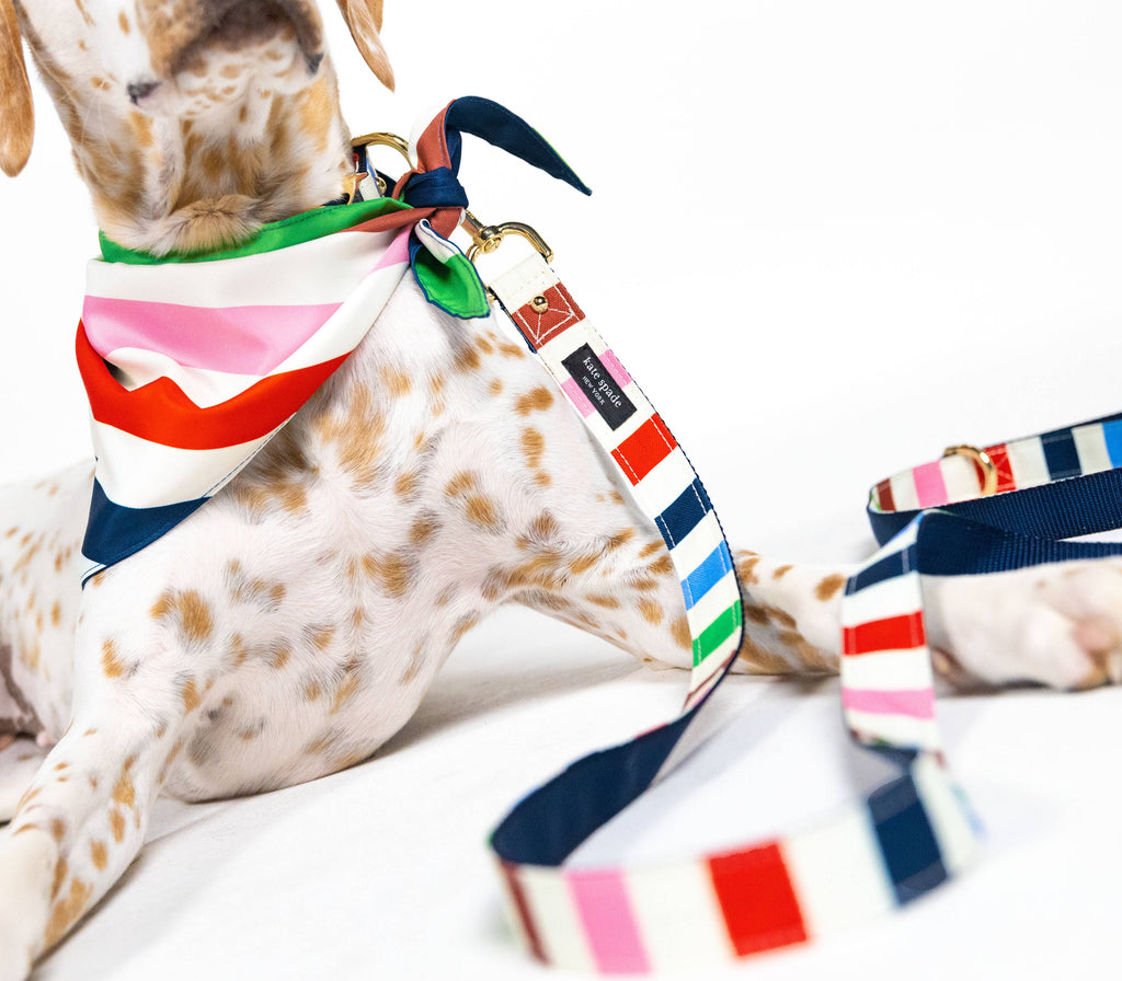 kate spade Dog Bandana - Adventure Stripe - The Dog Shop