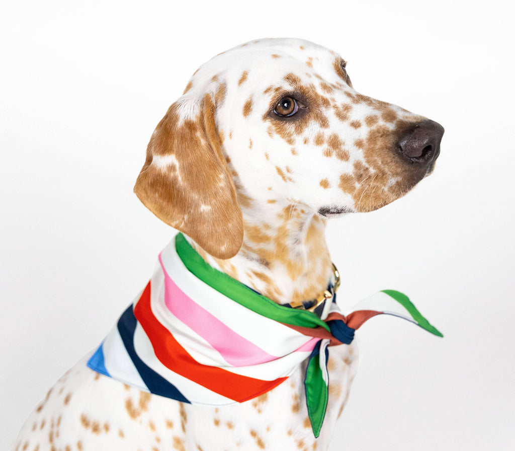 kate spade Dog Bandana - Adventure Stripe - The Dog Shop