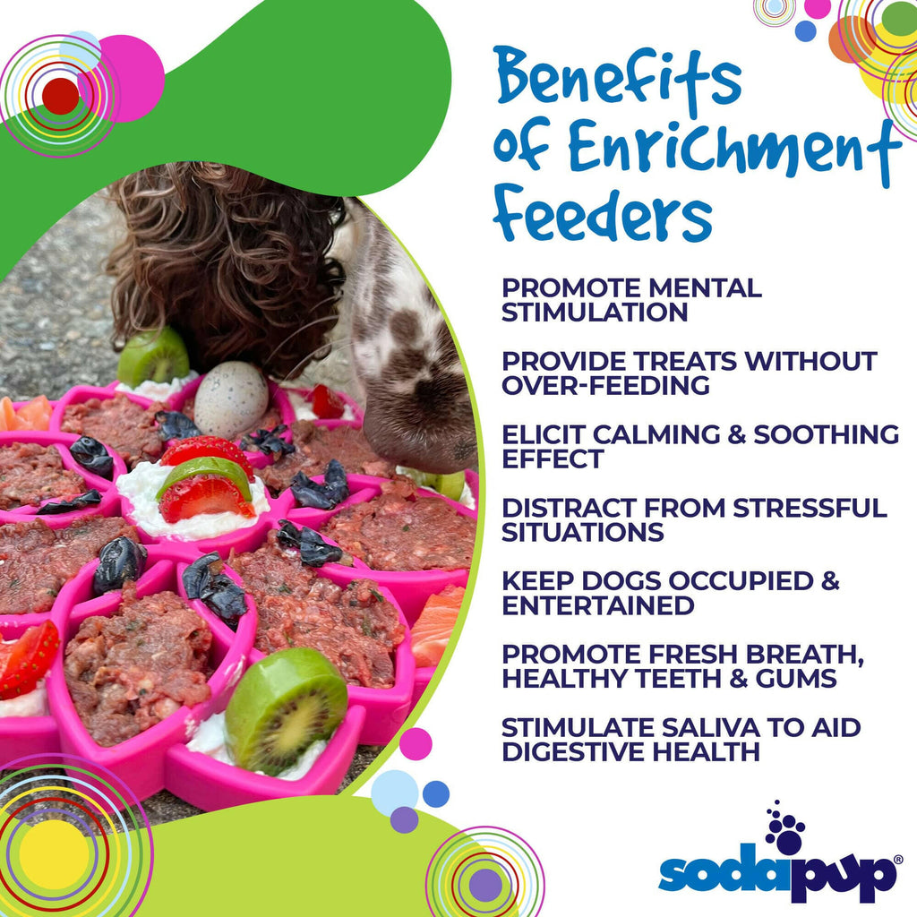 SodaPup Mandala Enrichment Tray for Dogs - Purple - The Dog Shop