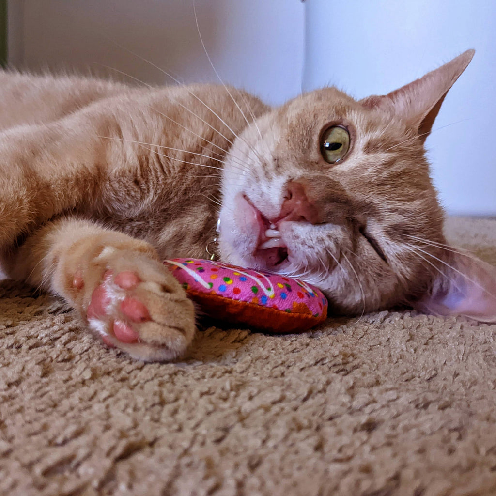 Strawberry Donut for Cats - The Dog Shop