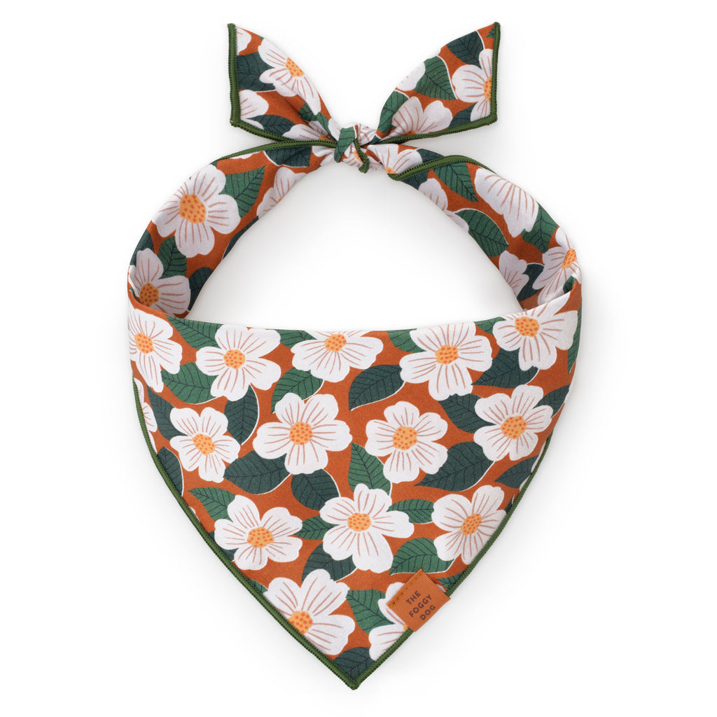 The Foggy Dog Bandana - Chestnut Rose - The Dog Shop