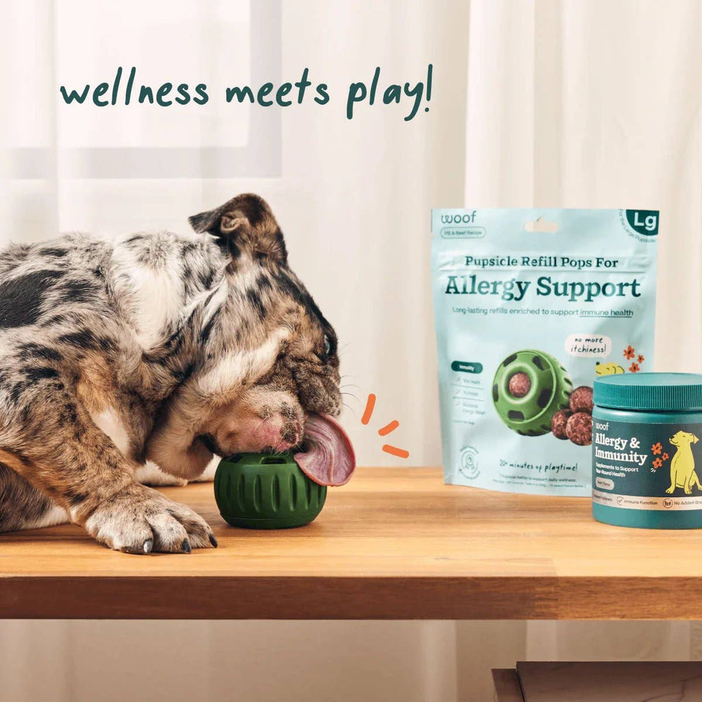 Allergy & Immunity Wellness Pops - The Dog Shop