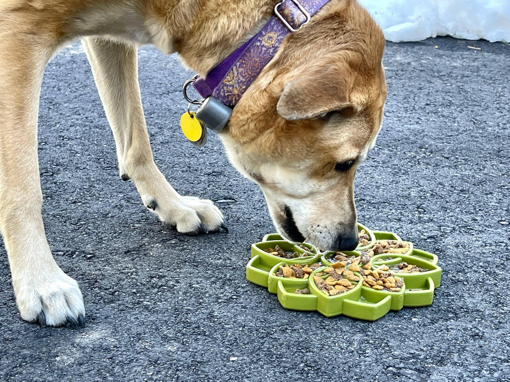 SodaPup Mandala Enrichment Tray for Dogs - Purple - The Dog Shop