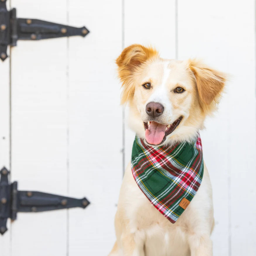 The Foggy Dog Bandana - Holly Jolly Plaid - The Dog Shop