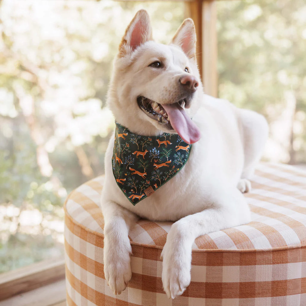 The Foggy Dog Bandana - Woodland Fox Dog - The Dog Shop