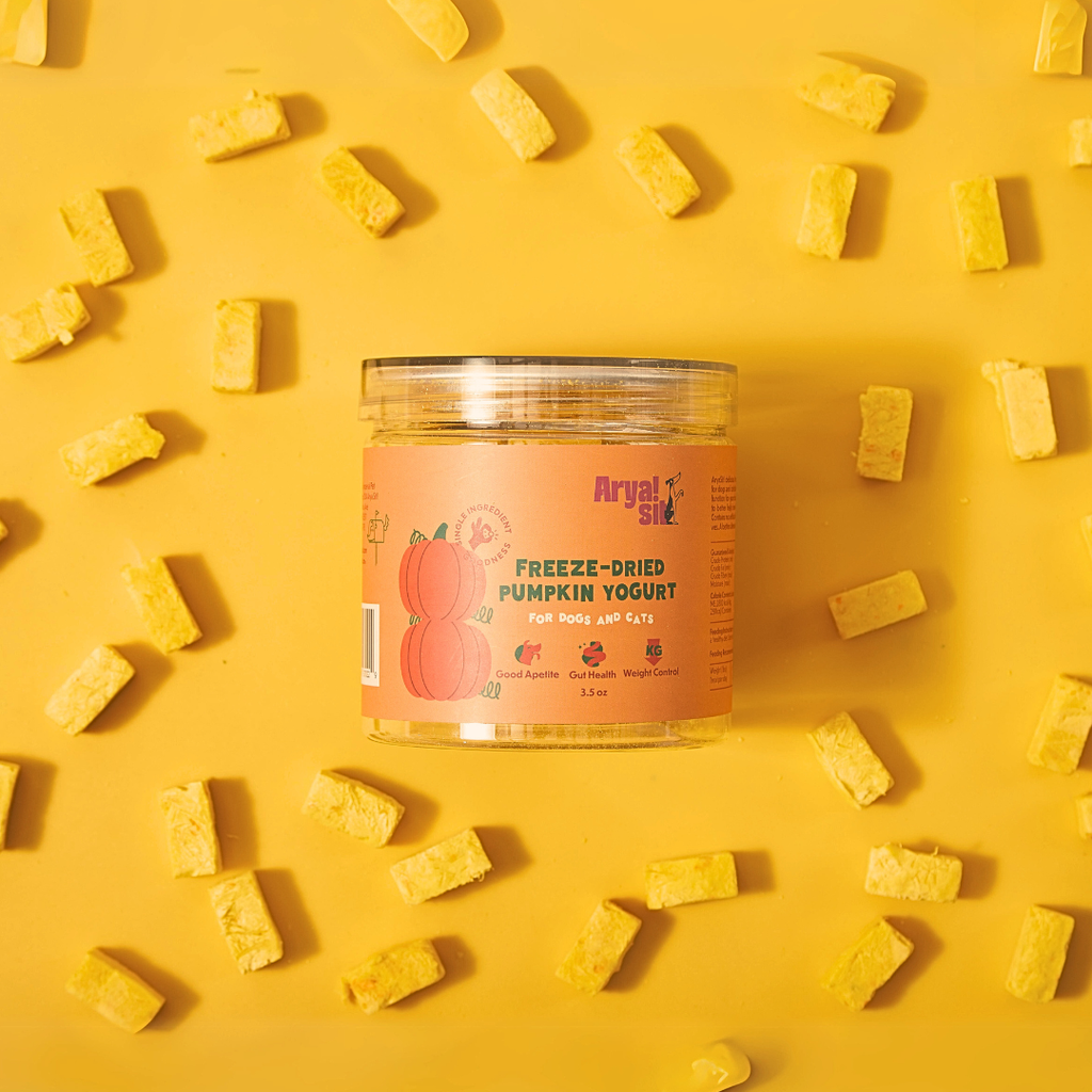 Freeze-Dried Pumpkin Yogurt - The Dog Shop