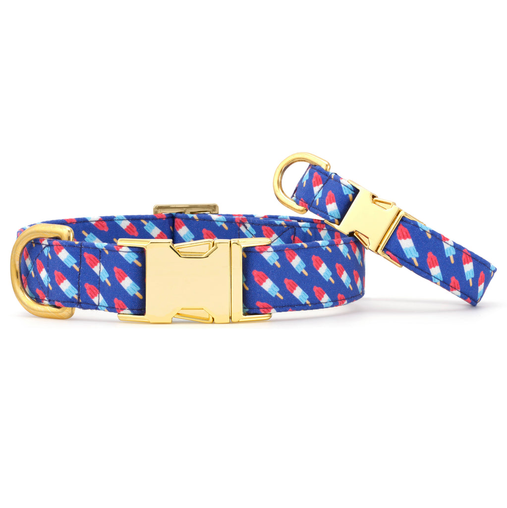 The Foggy Dog Collar - Rocket Pop - The Dog Shop