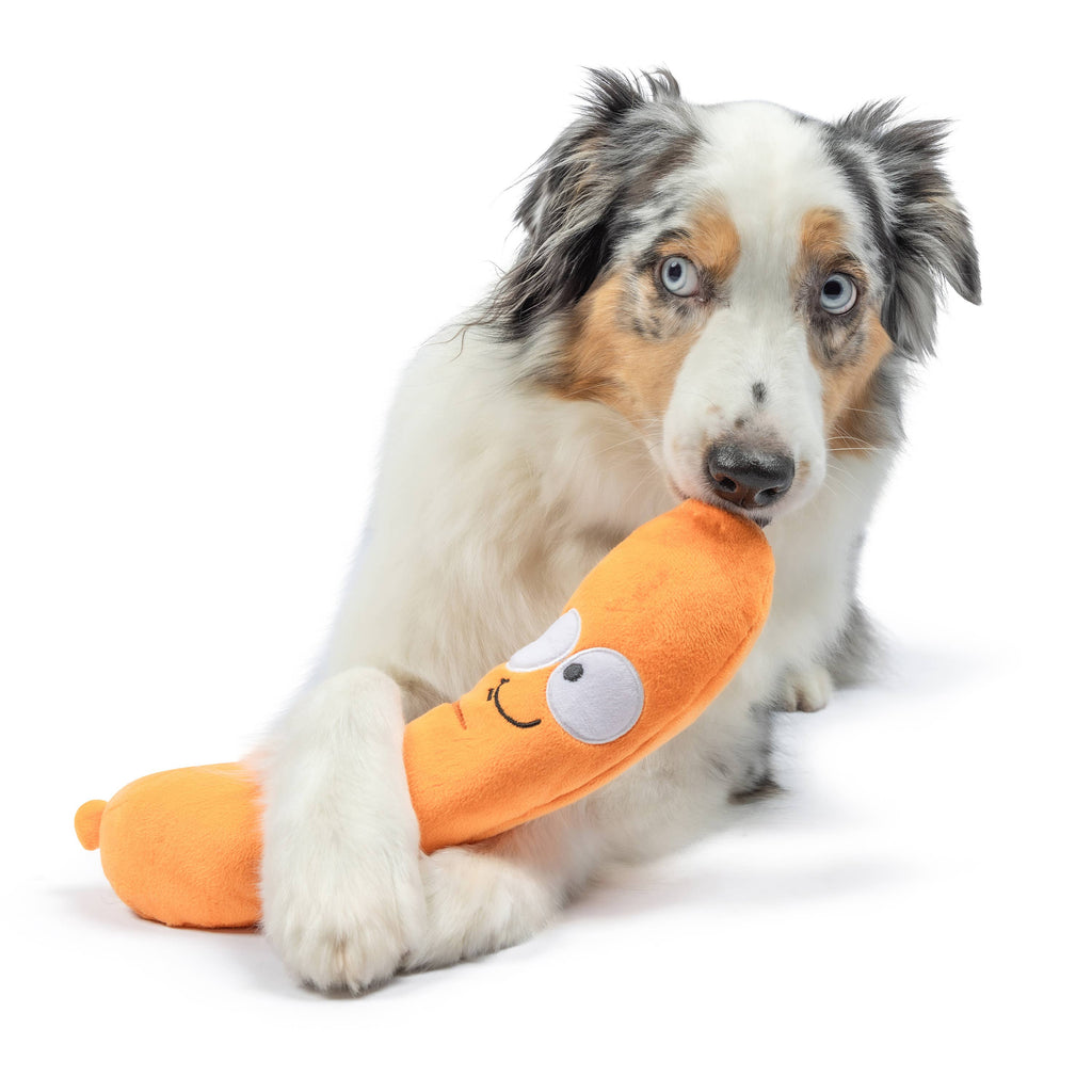 Sammy Sausage Dog Toy - The Dog Shop