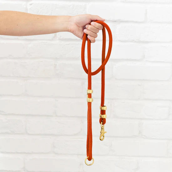 The Foggy Dog Marine Rope Dog Leash - Cider - The Dog Shop