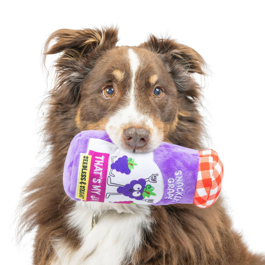 Snackers Grape Jam Dog Toy - The Dog Shop