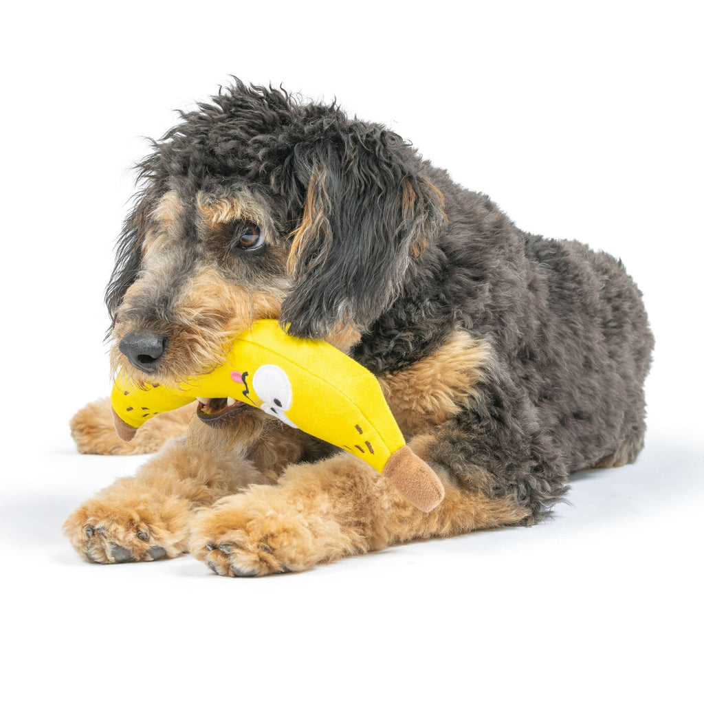 Bruiser Banana Dog Toy - The Dog Shop