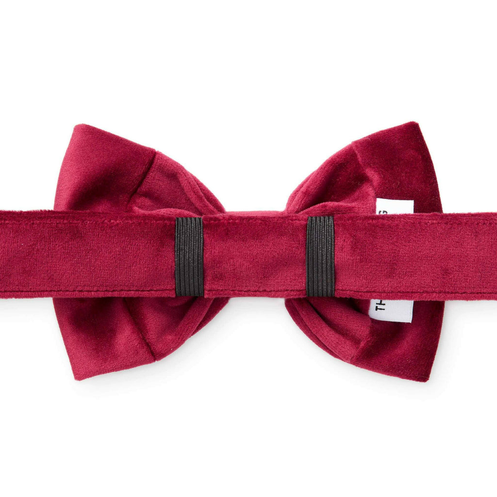 The Foggy Dog Bow Tie - Burgundy Velvet - The Dog Shop