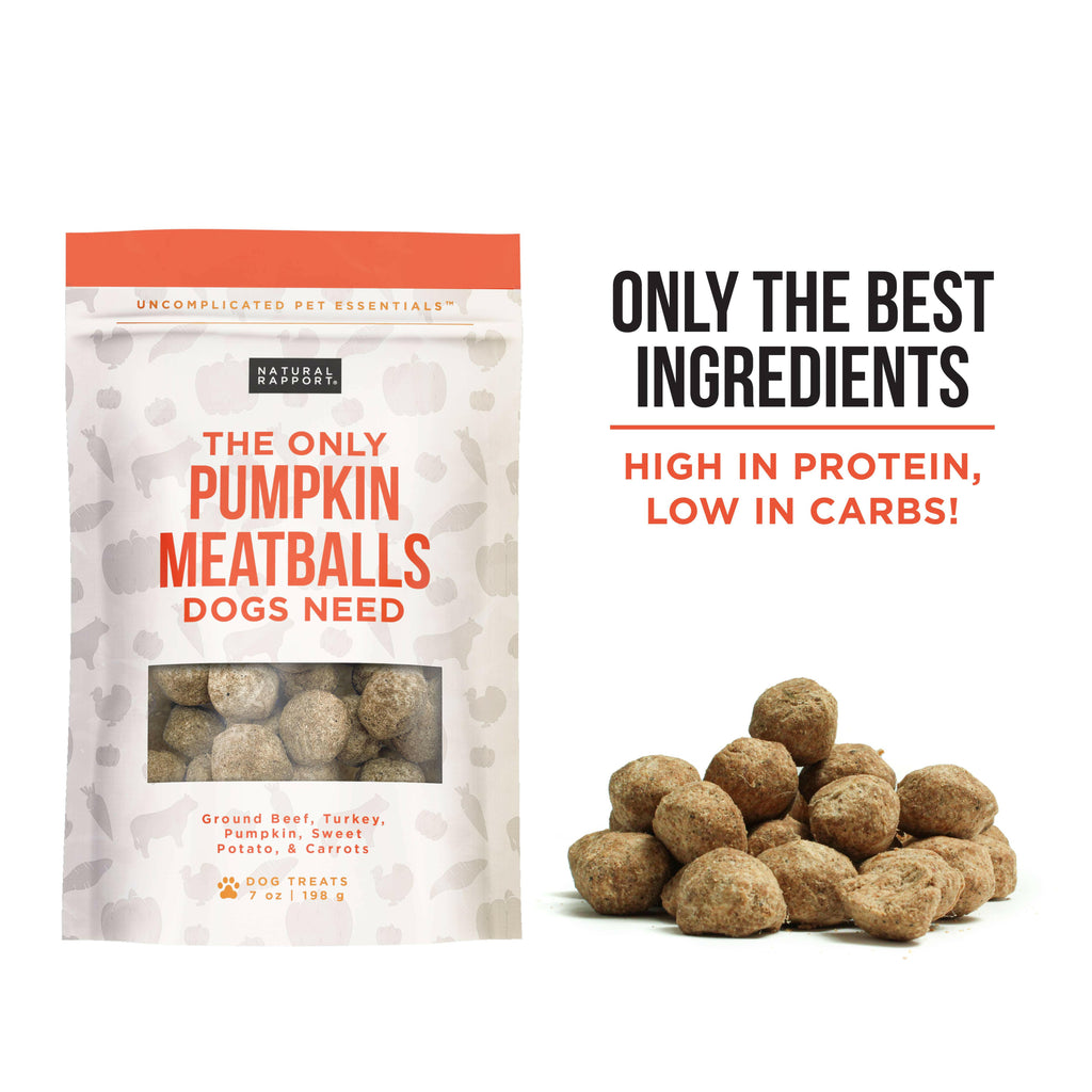 The Only Pumpkin Meatballs Dogs Need - The Dog Shop