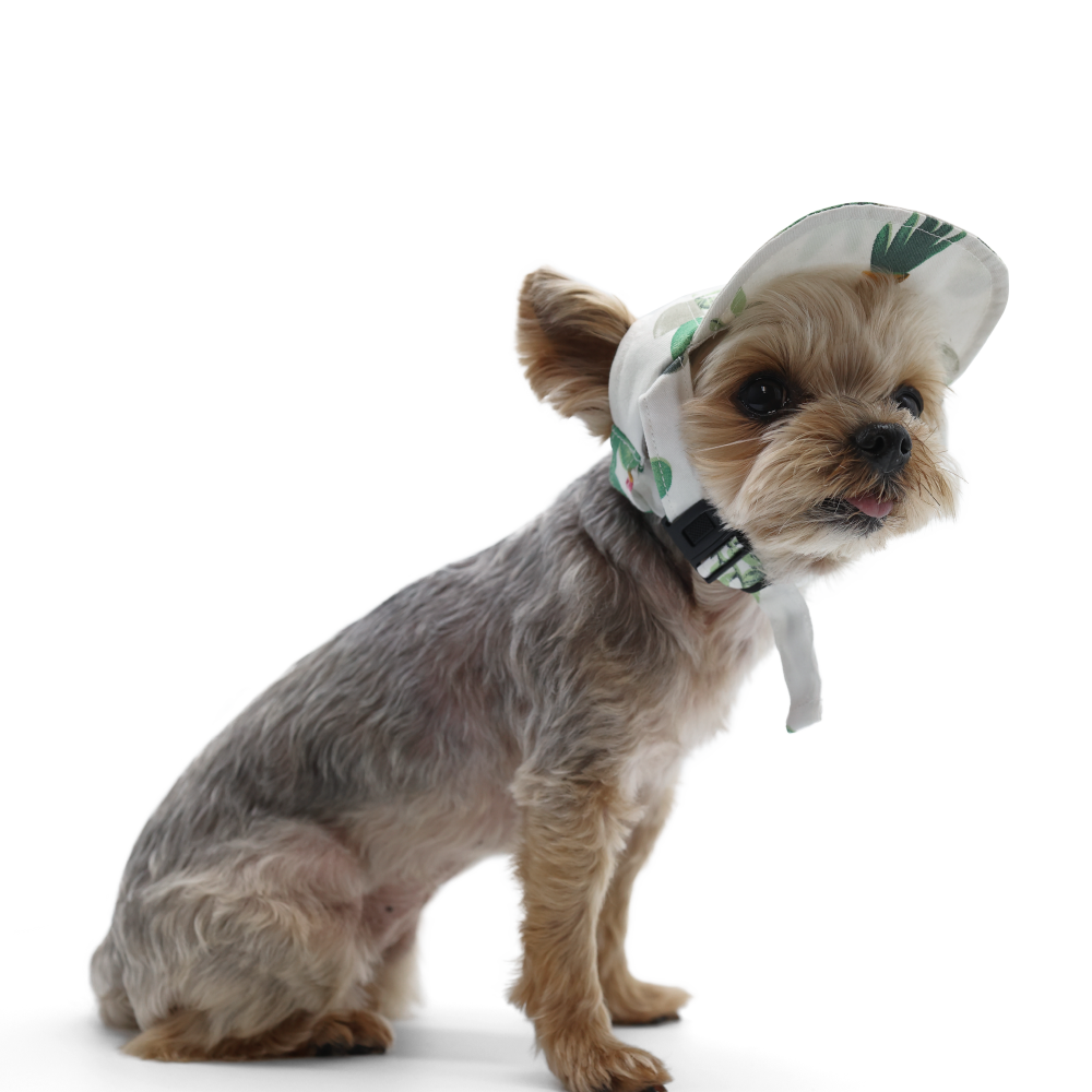 Dog Baseball Hat - Cactus - The Dog Shop