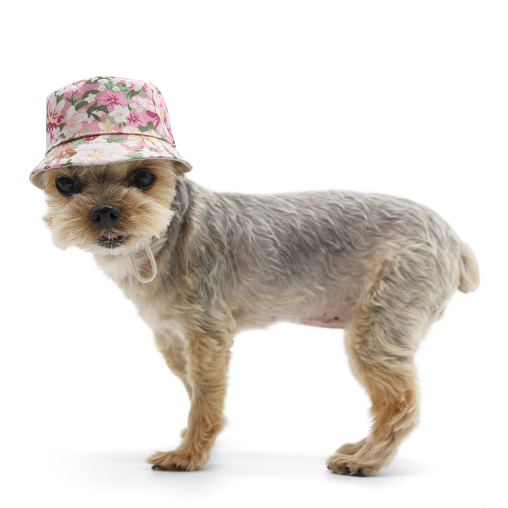 Dog Bucket Hat - Blossom - The Dog Shop