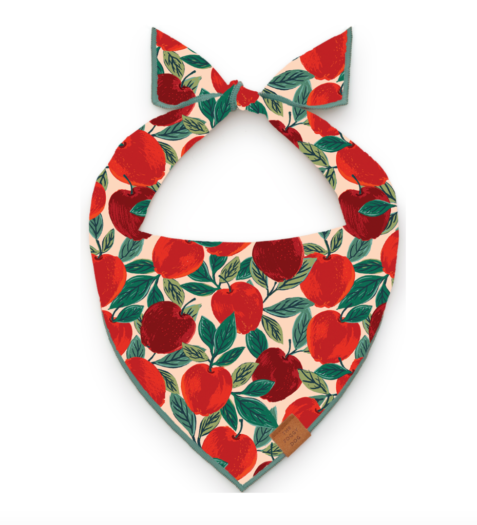 The Foggy Dog Bandana - Apple of My Eye - The Dog Shop