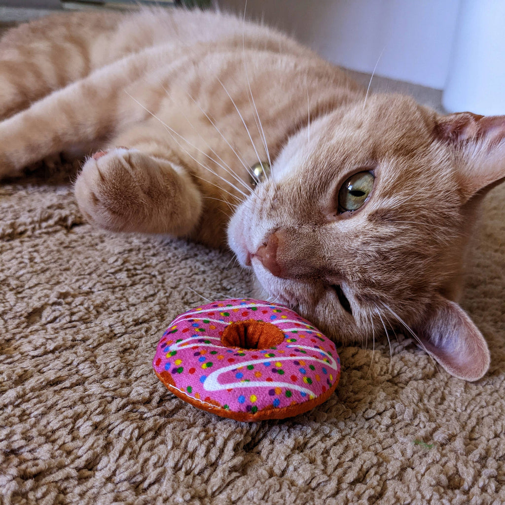 Strawberry Donut for Cats - The Dog Shop