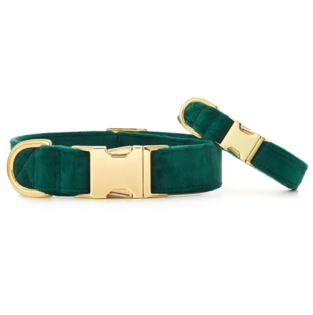 The Foggy Dog Collar - Forest Green Velvet - The Dog Shop