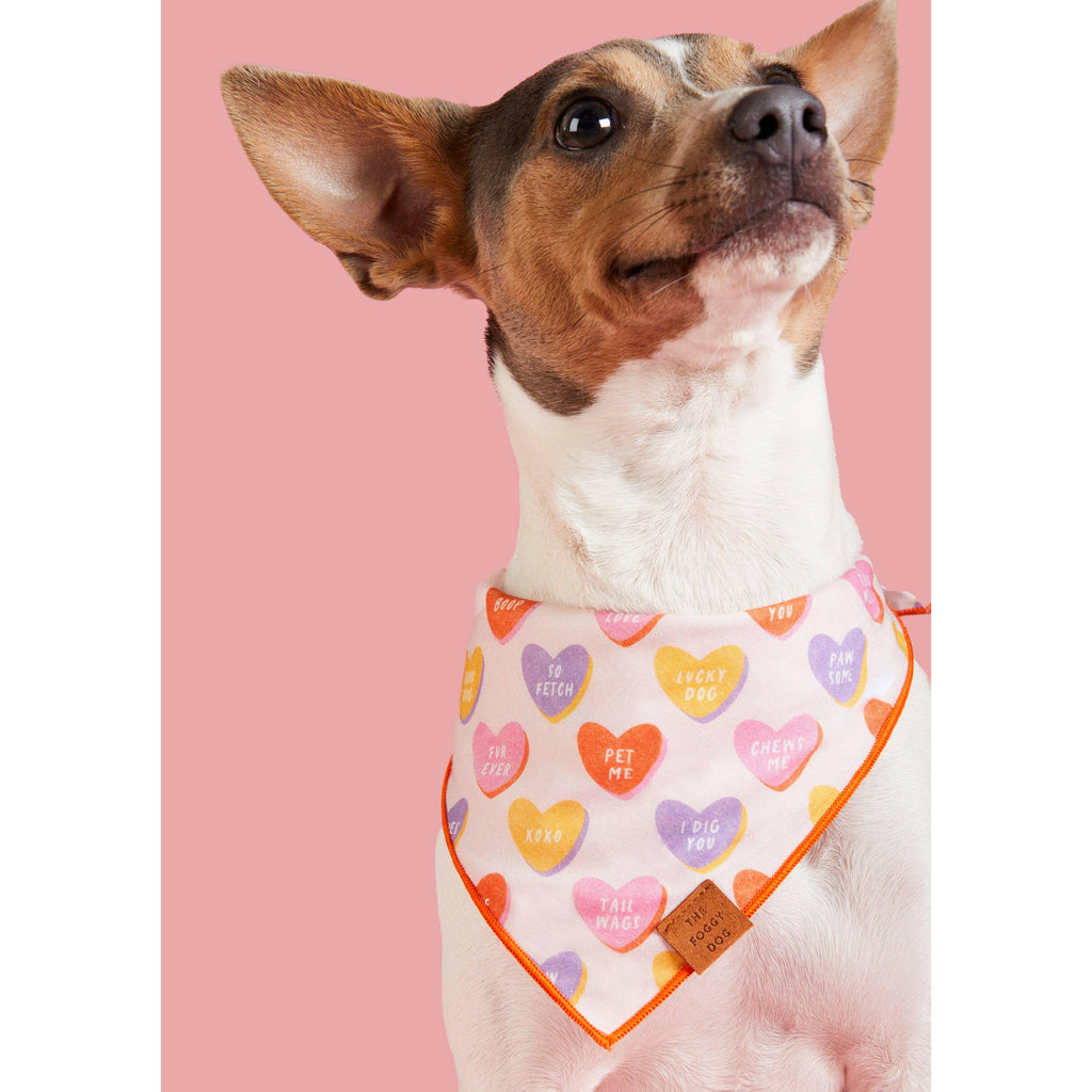 The Foggy Dog Bandana - Candy Hearts - The Dog Shop