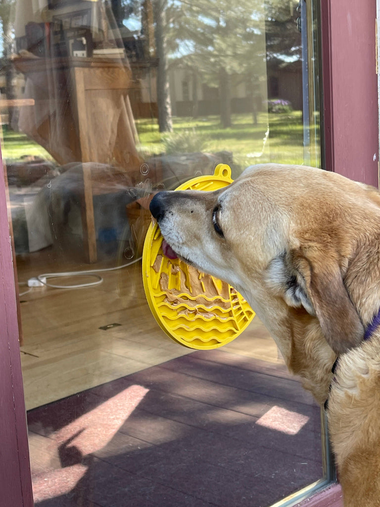 Sodapup Enrichment Lick Mat With Suction Cups - Sun n' Sea - The Dog Shop