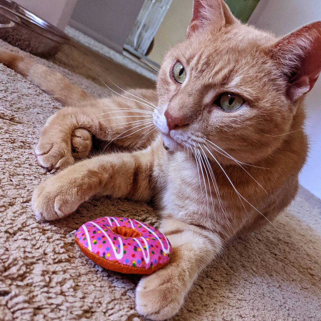 Strawberry Donut for Cats - The Dog Shop