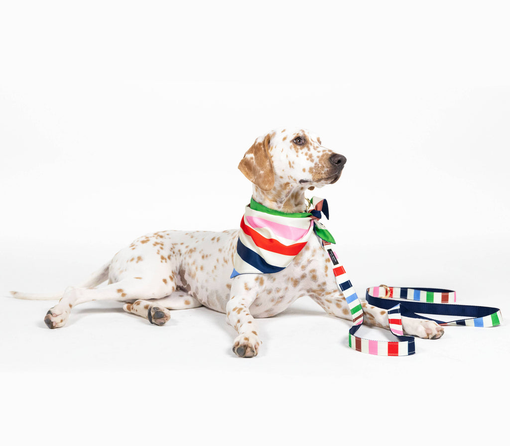 kate spade Dog Bandana - Adventure Stripe - The Dog Shop