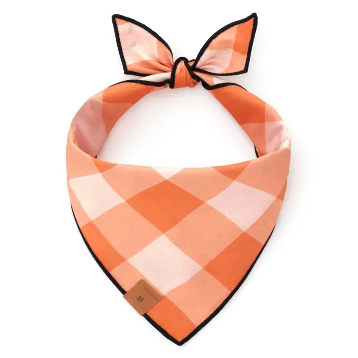 The Foggy Dog Bandana - Jack-o’-Lanterns Reversible - The Dog Shop