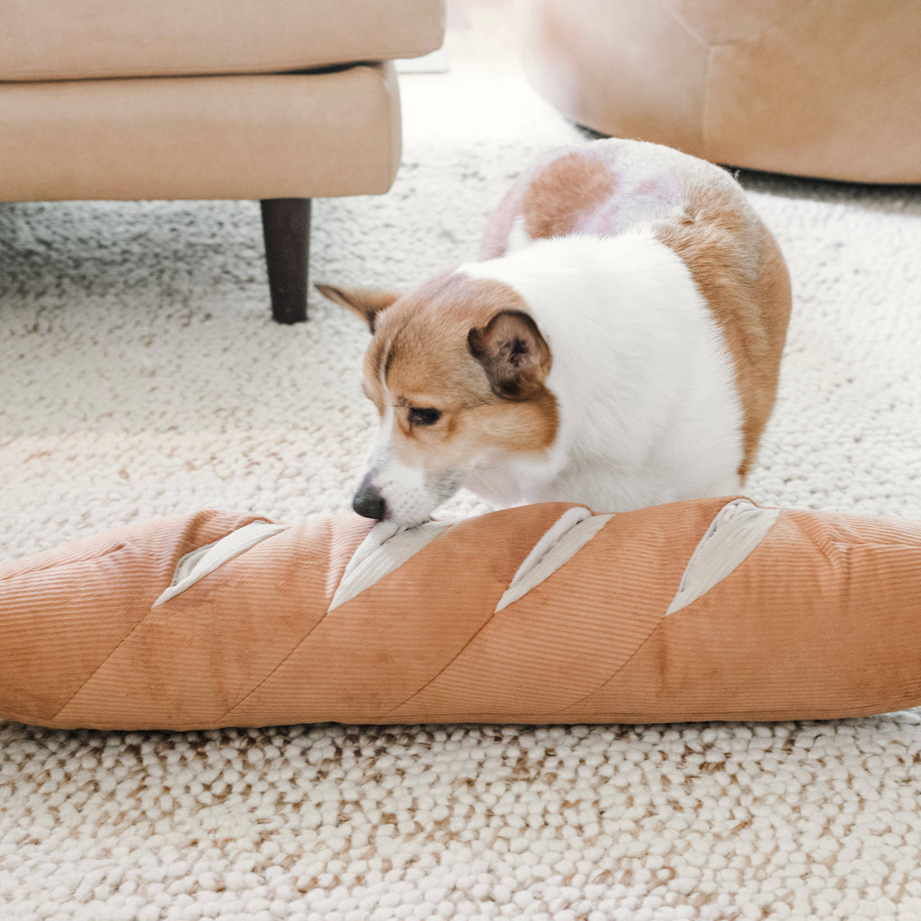 Lambwolf Collective Giant Baguette Dog Toy - The Dog Shop