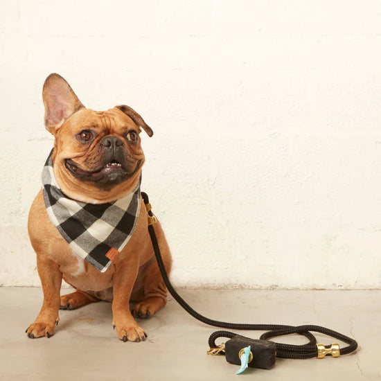 The Foggy Dog Marine Rope Dog Leash - Onyx - The Dog Shop