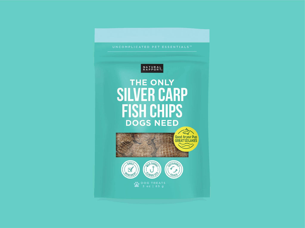 The Only Silver Carp Fish Chips Dogs Need - The Dog Shop