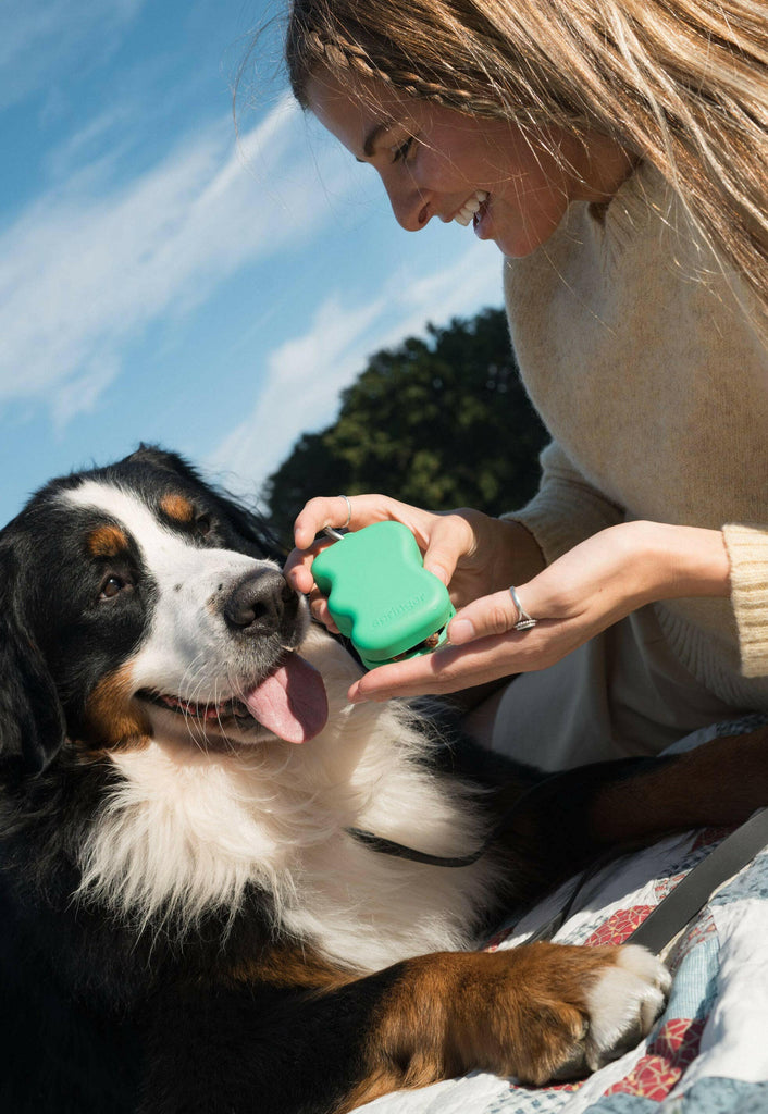 Springer Silicone Dog Treat Dispenser Pouch - The Dog Shop