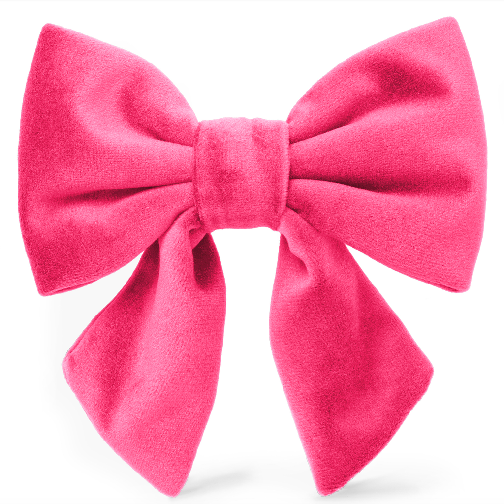 The Foggy Dog Lady Bow - Hot Pink Velvet - The Dog Shop