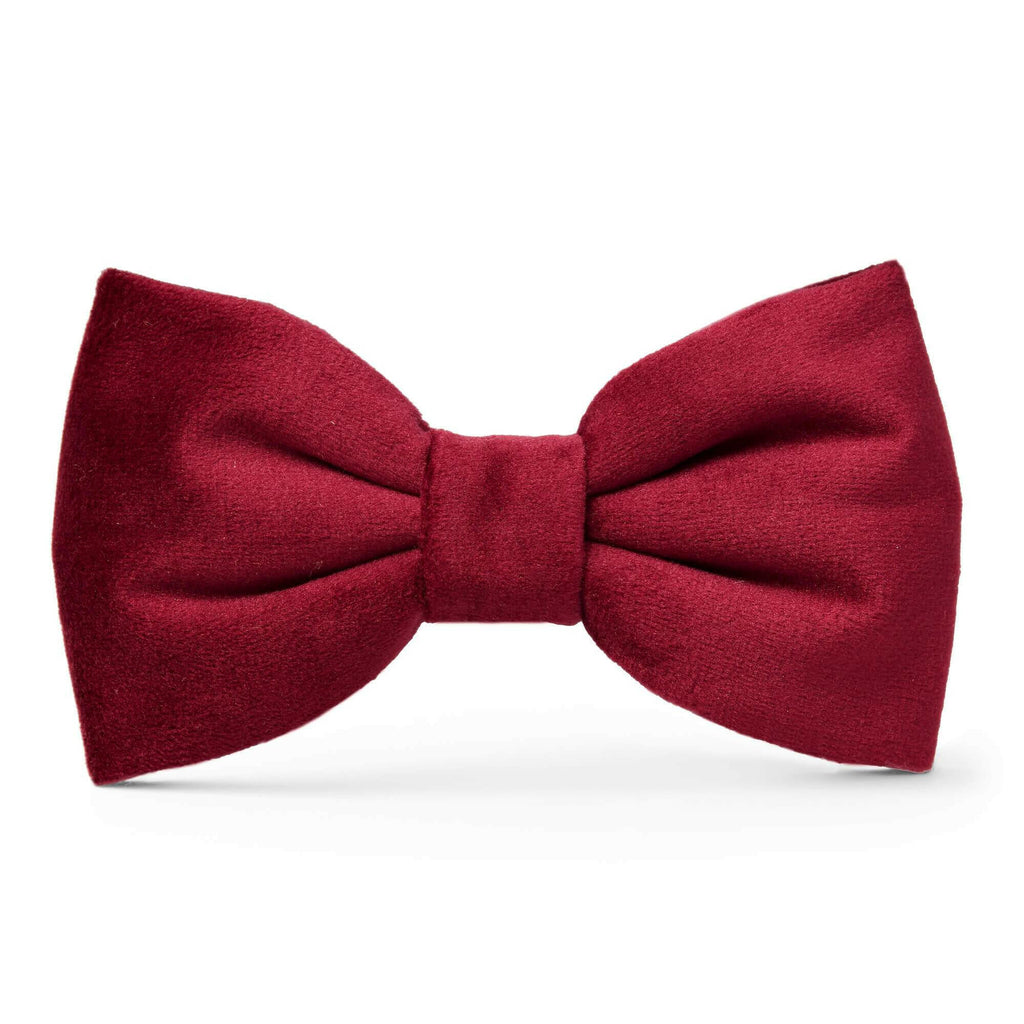 The Foggy Dog Bow Tie - Burgundy Velvet - The Dog Shop