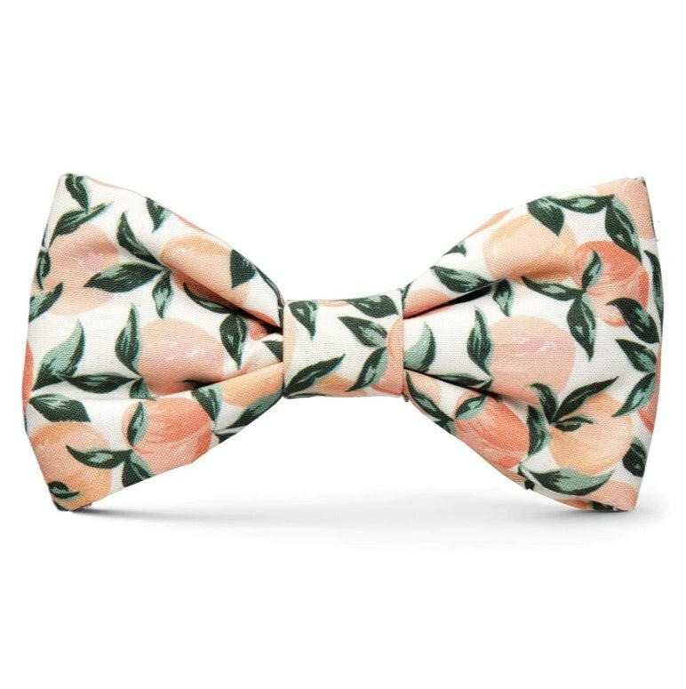 The Foggy Dog Bow Tie - Peaches and Cream - The Dog Shop