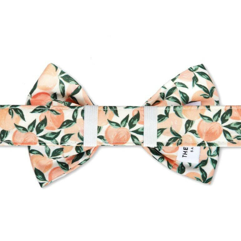 The Foggy Dog Bow Tie - Peaches and Cream - The Dog Shop